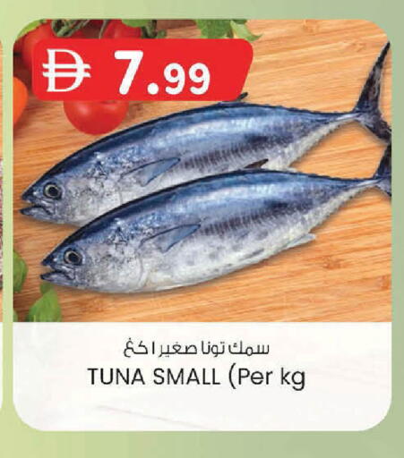 available at ك. إم. هايبرماركت in الإمارات العربية المتحدة , الامارات - أبو ظبي