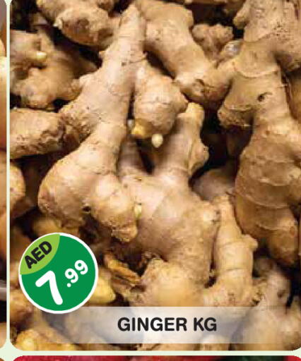 Ginger available at سنابل بني ياس in الإمارات العربية المتحدة , الامارات - أبو ظبي