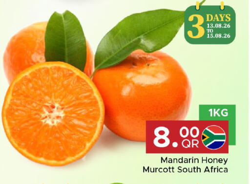 Mandarin from South Africa available at مركز التموين العائلي in قطر - أم صلال