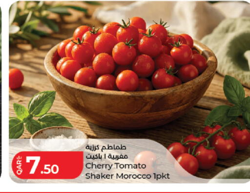 Cherry Cherry tomato from Morocco available at لولو هايبرماركت in قطر - أم صلال