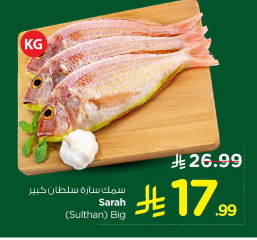 available at نستو in مملكة العربية السعودية, السعودية, سعودية - الخبر‎