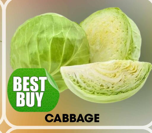 Cabbage available at مركز الخصومات سنترو in الإمارات العربية المتحدة , الامارات - دبي