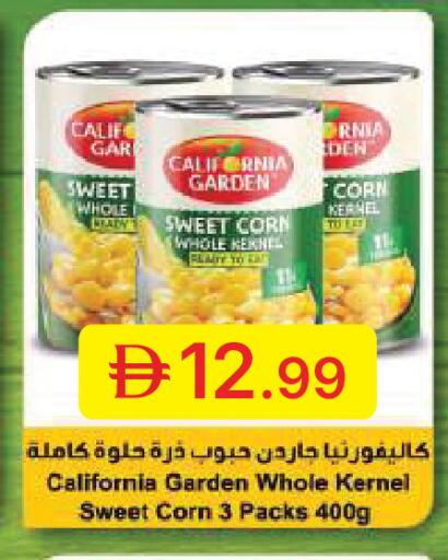 available at جمعية الامارات التعاونية in الإمارات العربية المتحدة , الامارات - دبي