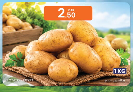 Potato from Egypt available at البلدي اليوم in قطر - الضعاين