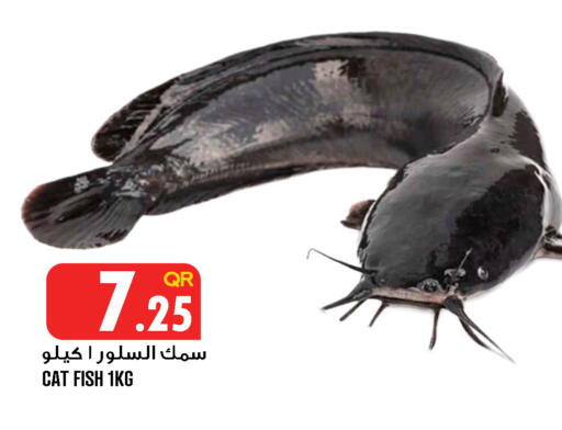 available at قصر الأغذية هايبرماركت in قطر - الدوحة