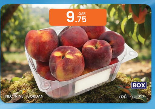 from Jordan available at البلدي اليوم in قطر - الضعاين