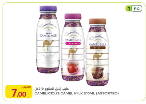 Strawberry available at Al Meera in Qatar - Al Shamal