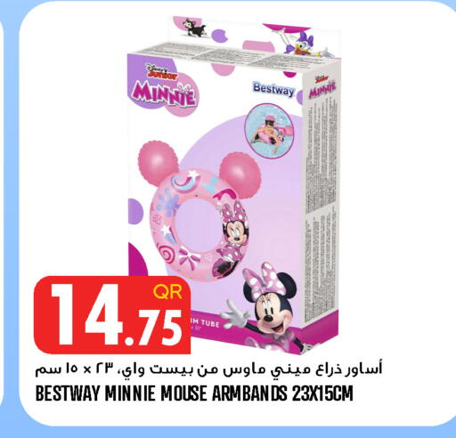 available at قصر الأغذية هايبرماركت in قطر - الخور
