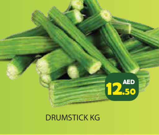 available at سنابل بني ياس in الإمارات العربية المتحدة , الامارات - رَأْس ٱلْخَيْمَة