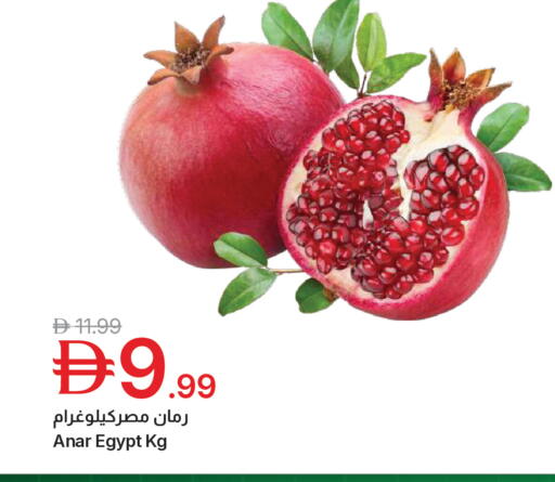 from Egypt available at جمعية الامارات التعاونية in الإمارات العربية المتحدة , الامارات - دبي