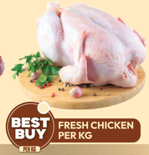 available at دريم لاند in الإمارات العربية المتحدة , الامارات - دبي