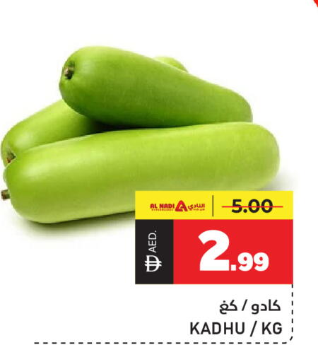 available at النادي هايبرماركت in الإمارات العربية المتحدة , الامارات - الشارقة / عجمان