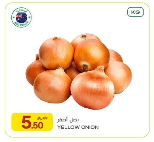 Onion from Australia available at شركة الميرة للمواد الاستهلاكية in قطر - الريان