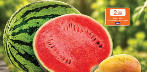 Watermelon from Syria available at البلدي اليوم in قطر - الضعاين