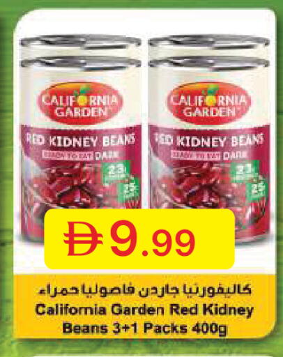 available at جمعية الامارات التعاونية in الإمارات العربية المتحدة , الامارات - دبي