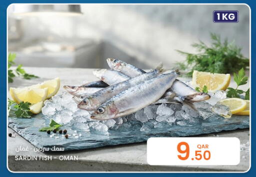 available at البلدي اليوم in قطر - الضعاين