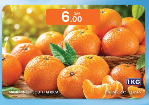 from South Africa available at البلدي اليوم in قطر - الضعاين
