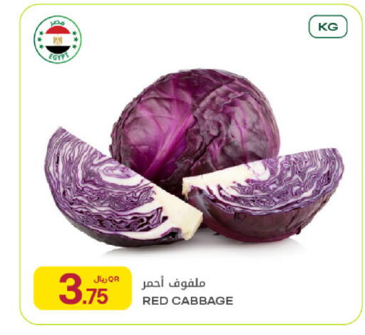 Cabbage from Egypt available at Al Meera in Qatar - Al-Shahaniya