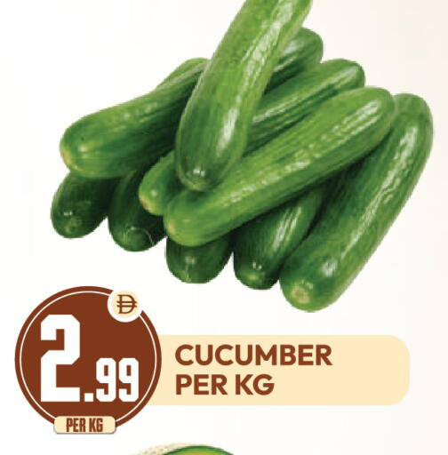 Cucumber available at دريم لاند in الإمارات العربية المتحدة , الامارات - دبي
