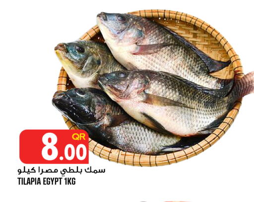 available at قصر الأغذية هايبرماركت in قطر - الدوحة