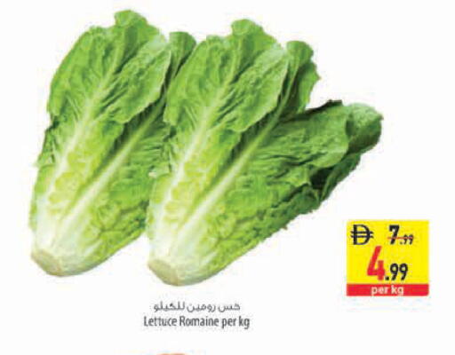Lettuce available at السفير ماركت in الإمارات العربية المتحدة , الامارات - رَأْس ٱلْخَيْمَة