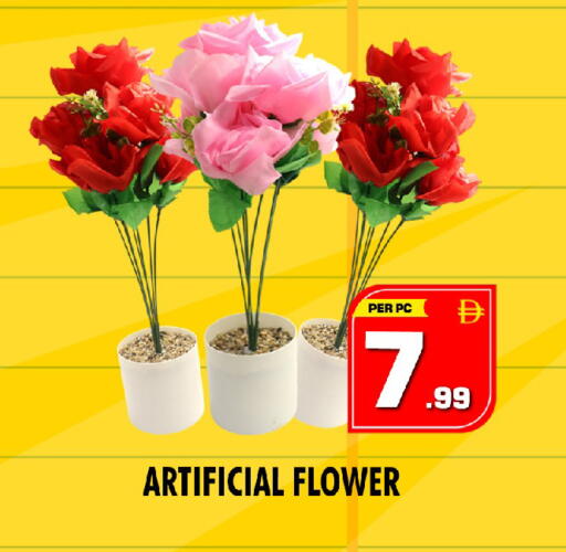 available at نايت تو نايت in الإمارات العربية المتحدة , الامارات - دبي