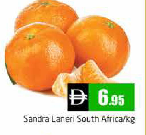 from South Africa available at هايبر ماركت باسونز in الإمارات العربية المتحدة , الامارات - دبي