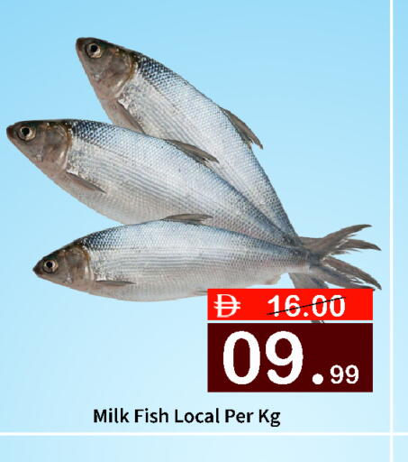 available at ROYAL GULF HYPERMARKET LLC in UAE - Abu Dhabi
