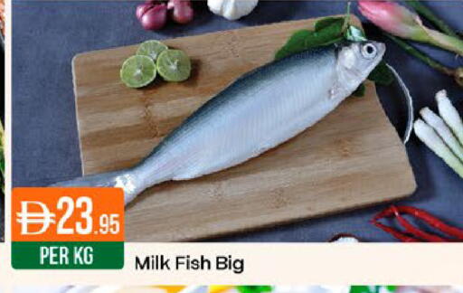 available at West Zone Supermarket in UAE - Dubai