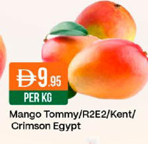 Mango from Egypt available at West Zone Supermarket in UAE - Dubai
