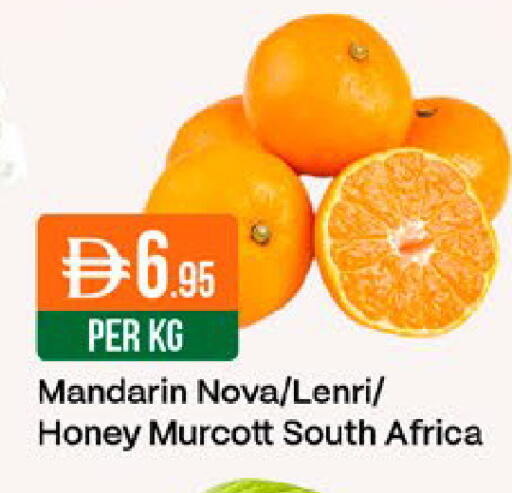 Mandarin from South Africa available at West Zone Supermarket in UAE - Dubai