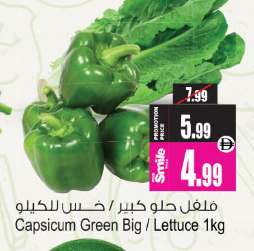 Capsicum Lettuce available at أنصار جاليري in الإمارات العربية المتحدة , الامارات - دبي