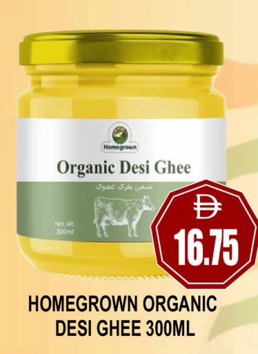 available at مجمع باتيل فريش in الإمارات العربية المتحدة , الامارات - دبي