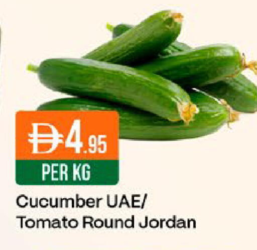 Cucumber Tomato from Jordan available at West Zone Supermarket in UAE - Dubai