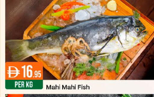 available at West Zone Supermarket in UAE - Dubai
