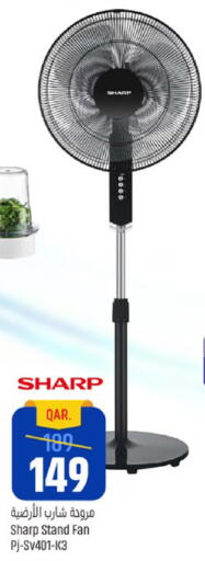 available at باريس هايبرماركت in قطر - الوكرة