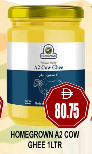 available at مجمع باتيل فريش in الإمارات العربية المتحدة , الامارات - دبي
