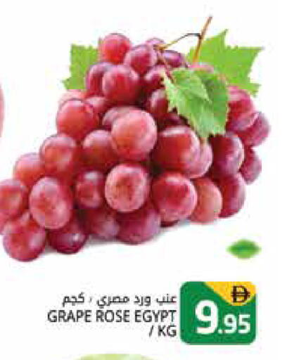 from Egypt available at هايبر ماركت باسونز in الإمارات العربية المتحدة , الامارات - دبي