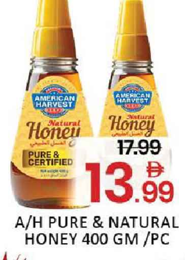 Mango available at Mango Hypermarket LLC in UAE - Dubai