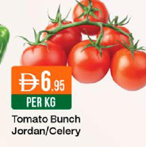 Tomato Celery from Jordan available at West Zone Supermarket in UAE - Dubai