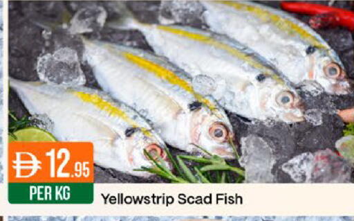 available at West Zone Supermarket in UAE - Dubai