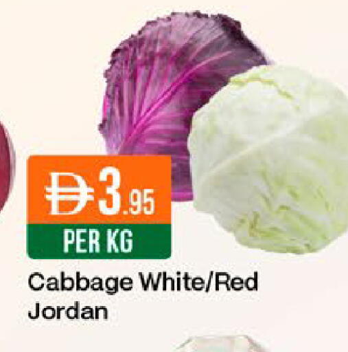Cabbage from Jordan available at West Zone Supermarket in UAE - Dubai
