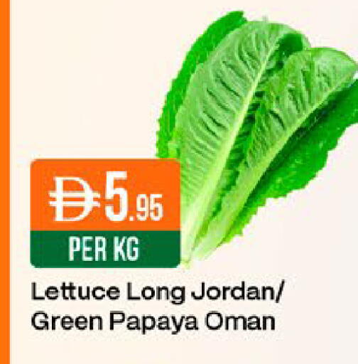 Papaya Lettuce from Jordan Oman available at West Zone Supermarket in UAE - Dubai