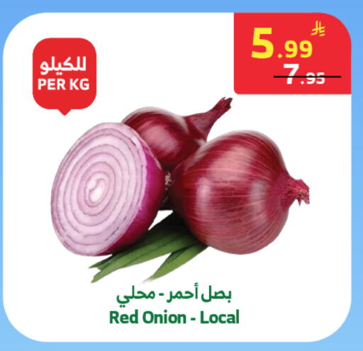 Onion available at Al Raya in KSA, Saudi Arabia, Saudi - Jeddah
