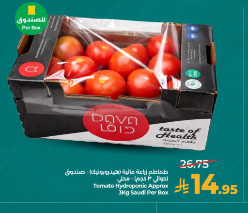 Tomato from Saudi Arabia available at لولو هايبرماركت in مملكة العربية السعودية, السعودية, سعودية - الخبر‎