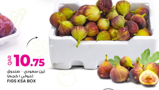 available at أنصار جاليري in قطر - الوكرة