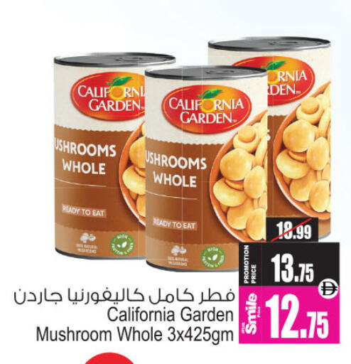 Mushroom available at Ansar Mall in UAE - Sharjah / Ajman