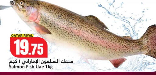 available at Dana Hypermarket in Qatar - Doha