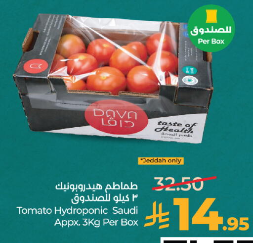 Tomato from Saudi Arabia available at لولو هايبرماركت in مملكة العربية السعودية, السعودية, سعودية - جدة