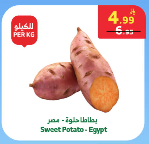 Sweet Potato from Egypt available at الراية in مملكة العربية السعودية, السعودية, سعودية - جدة